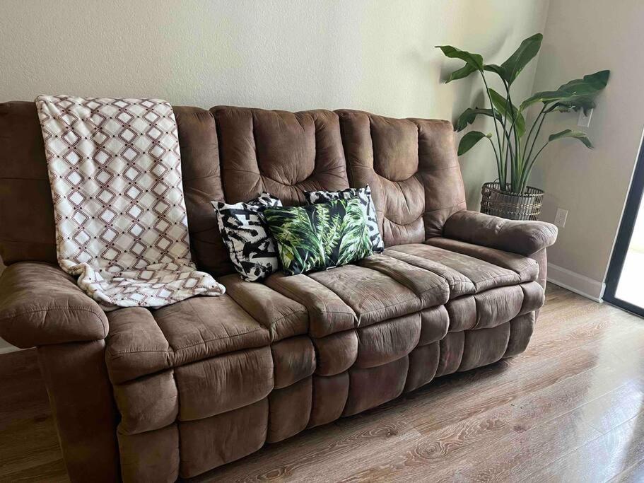 Blooming Journey In Tampa Bay! Apartment Exterior photo